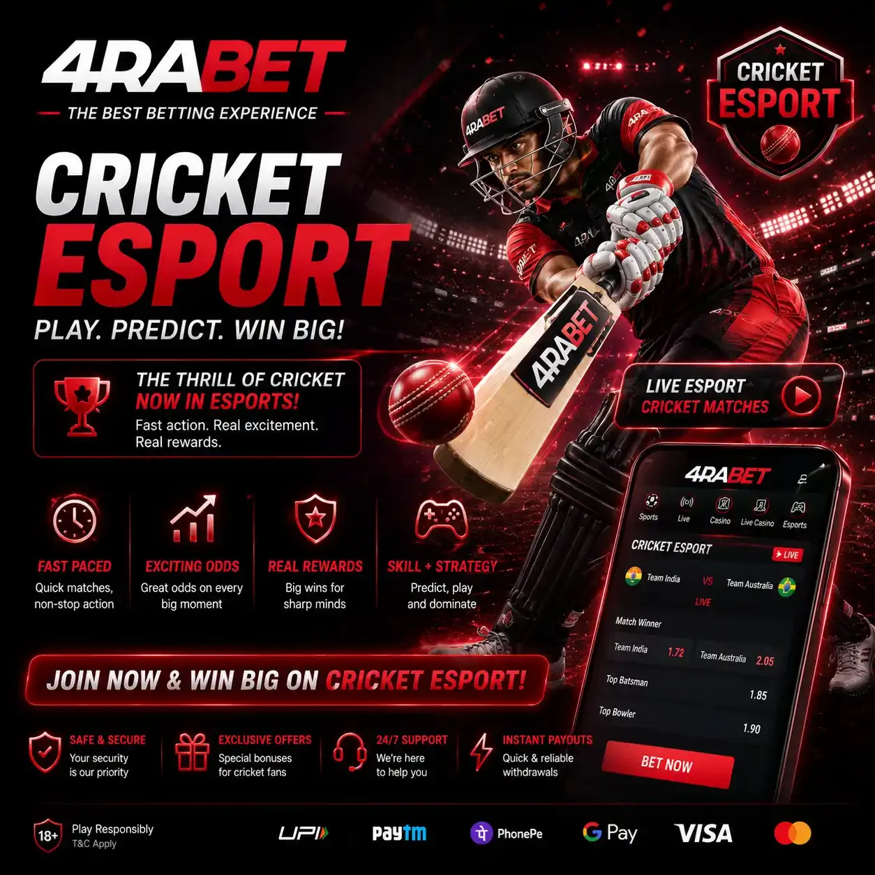 Cricket EN Main 1